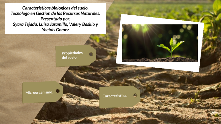 Características Bilógicas Del Suelo By Siara Tejada On Prezi