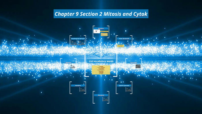 Chapter 9 Section 2 Mitosis and Cytokinesis by Ali Barber on Prezi