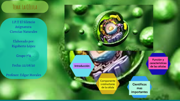 Tema: La Célula by Rigoberto Lopez on Prezi