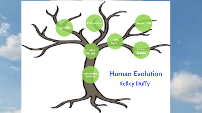 Human Evolution by Kelley Duffy on Prezi