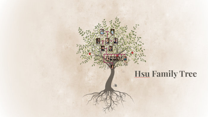 Hsu Family Tree by Sam Moore