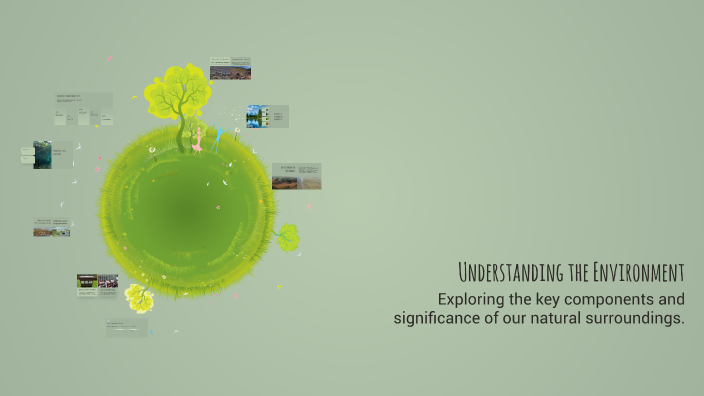 Understanding the Environment by Энхцэцэг О. on Prezi