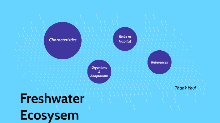 Shallow Ocean Ecosystem by Madeline Gustafson on Prezi