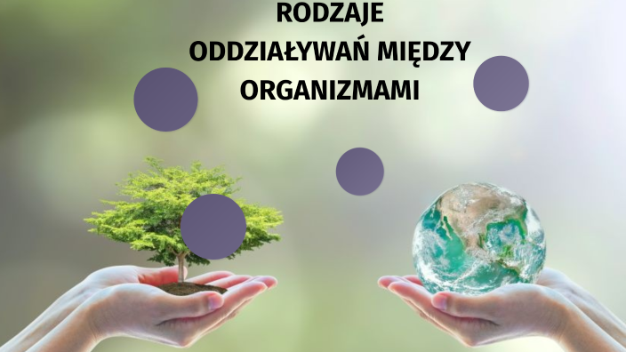 RODZAJE ODDZIAŁYWAŃ MIĘDZY ORGANIZMAMI by Emilia Kural on Prezi