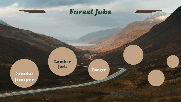 Forest Jobs By Maddox Shirk Forest Jobs By Maddox Shirk