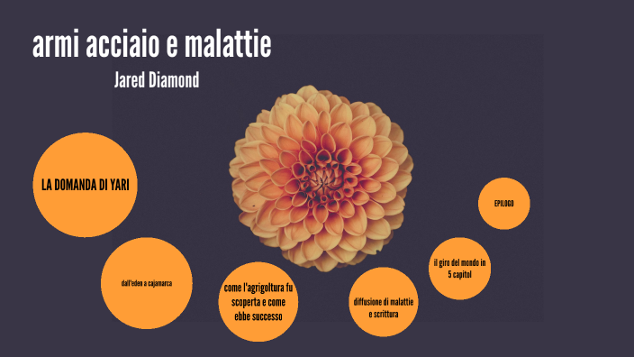armi acciaio e malattie by Giulia Uccellini on Prezi