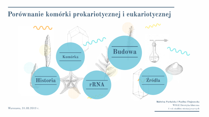 Por wnanie Kom rki Prokariotycznej I Eukariotycznej By Paulina por-wnanie-kom-rki-prokariotycznej-i-eukariotycznej-by-paulina