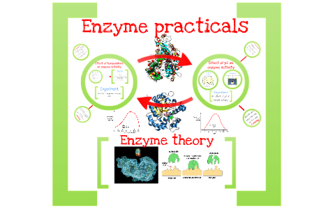 enzyme reaction experiments