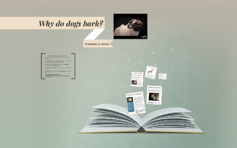 Why do dogs bark? by Bryanna Hawkins on Prezi