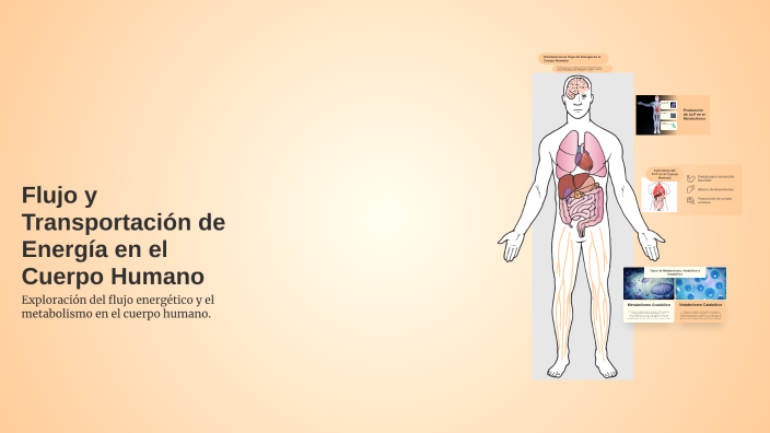 Flujo y Transportación de Energía en el Cuerpo Humano by Brando Ernesto ...