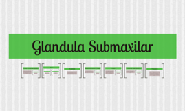 Glandula Submaxilar by andrea carolina ahumada mercado on Prezi