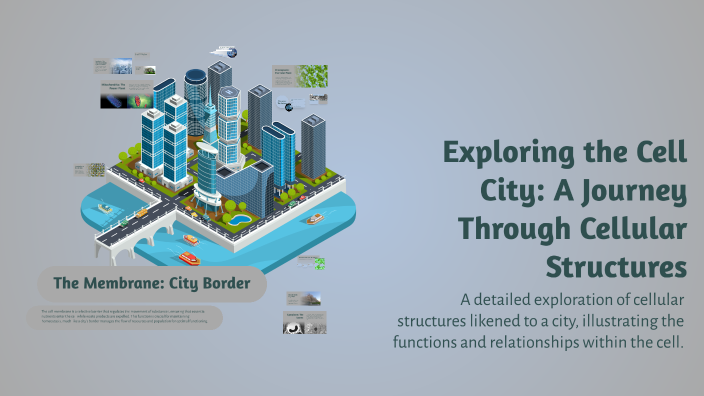 Exploring the Cell City: A Journey Through Cellular Structures by ...