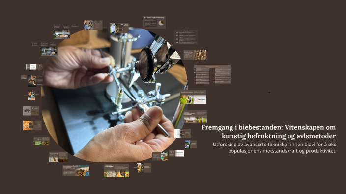 Progress in Bee Populations: The Science of Artificial Insemination and ...