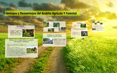 Ventajas y Desventajas del Ambito Agricola Y Forestal by Shamy Spezia