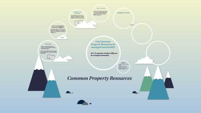 What Is Common Property Resources In Geography Class 8