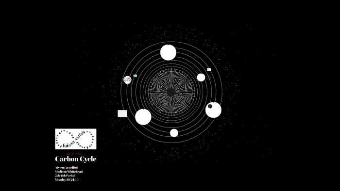 Carbon Cycle by Alyssa Castellini on Prezi