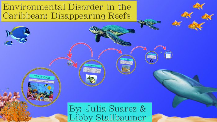 Environmental Disorder in the Caribbean by Libby Stallbaumer on Prezi