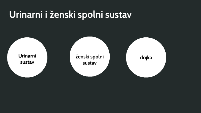 Urinarni i ženski spolni sustav by iva miloš on Prezi