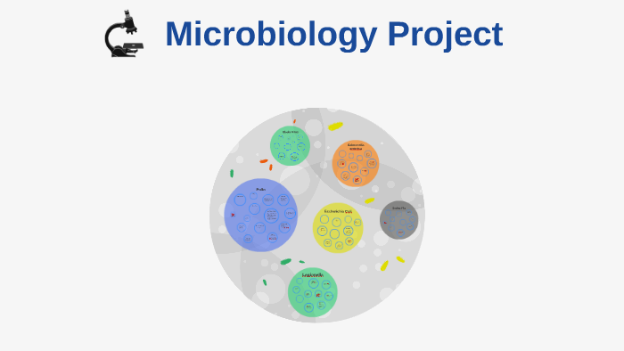 microbiology research projects for undergraduates