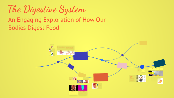 The Digestive System by Hammad Clacio on Prezi