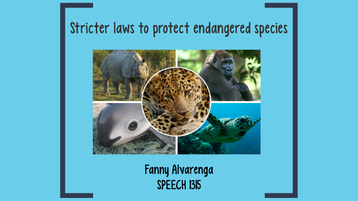 Stricter laws to protect endangered species by Fanny Alvarenga