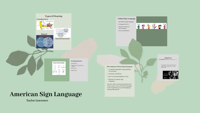 American Sign Language by Taylor Lawrence on Prezi