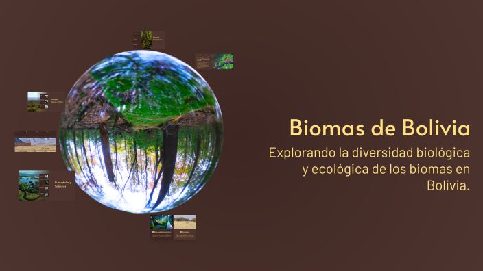 Biomas de Bolivia by Rohely Lafuente Rojas on Prezi