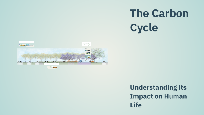 The Carbon Cycle by Caiden Rinaldi on Prezi