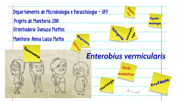 enterobius vermicularis filo)