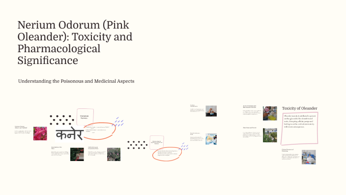 Nerium Odorum (Pink Oleander): Toxicity and Pharmacological ...