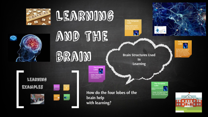 Learning and the Brain by on Prezi