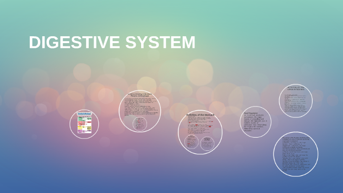 Flowchart of Digestion and Absorption of Foodstuffs by sebastian Tiu on ...