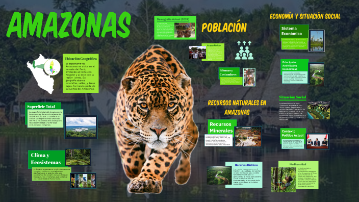 DEPARTAMENTO AMAZONAS by NAGELLY BRIGITTE LISSETH ESPINO BELLIDO on Prezi