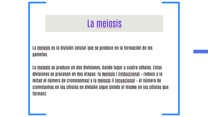 Etapas de la meiosis by Julian Alejandro Camacho Mendoza on Prezi