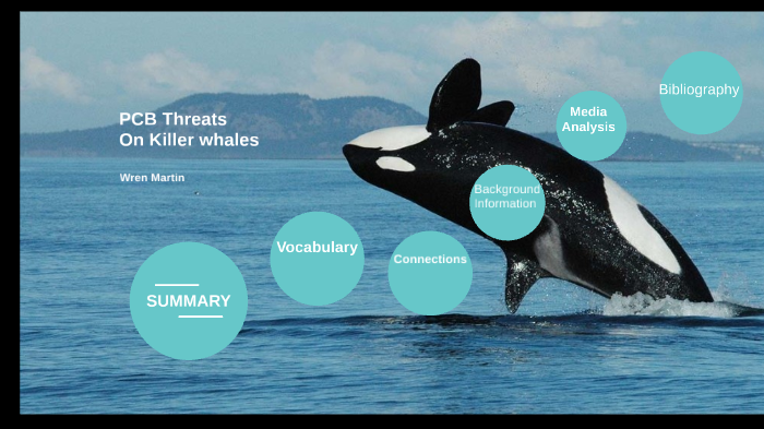 PCB Threats Orcas by Wren Samuel on Prezi