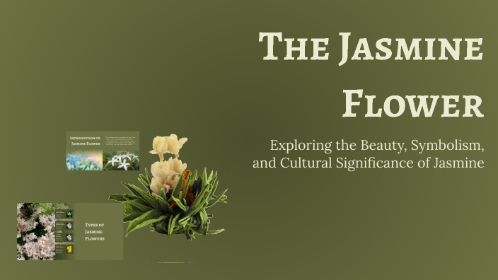 The Jasmine Flower by Aalaa Gad on Prezi