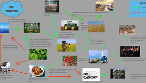 Food System Mapping By T K On Prezi Design