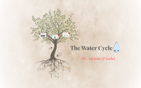The Water Cycle by Isabel Navarro on Prezi