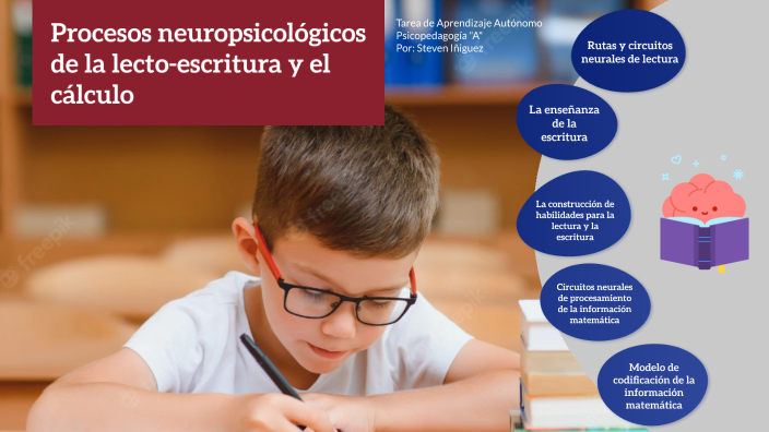 Steven Iniguez Procesos neuropsicológicos de la lecto-escritura y el cálculo by Steven ...