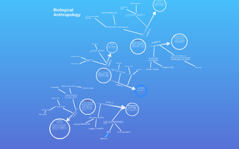 Concept map by on Prezi