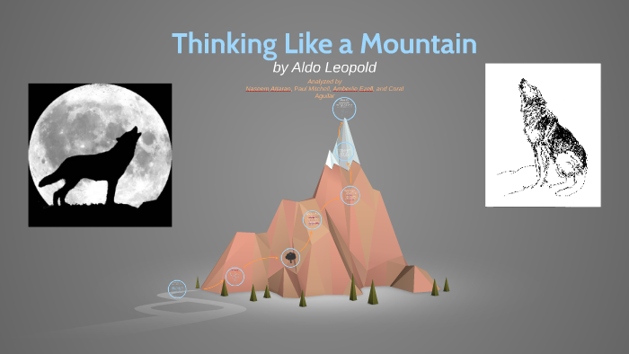 thinking like a mountain essay