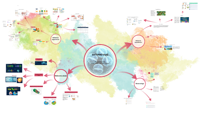 ENTORNO VIVO by yamile salinas on Prezi