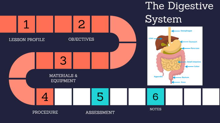 The digestive system by Maya Joseph on Prezi