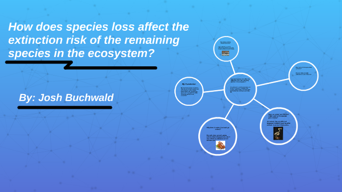 How does species loss affect the extinction risk of the rema by Josh ...