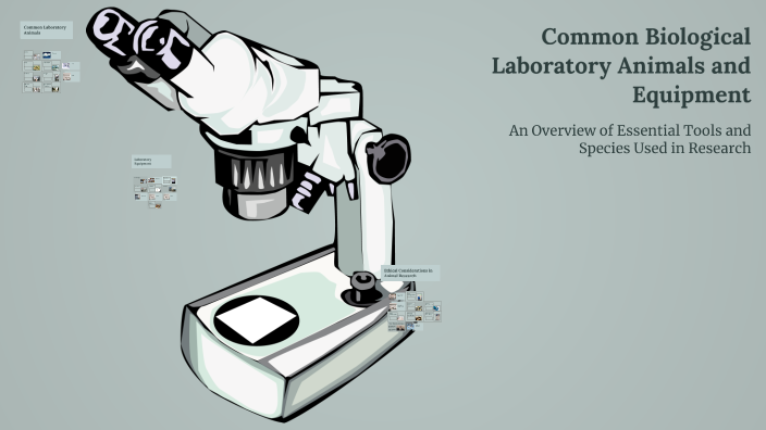 Common Biological Laboratory Animals and Equipment by افراح العنزي on Prezi