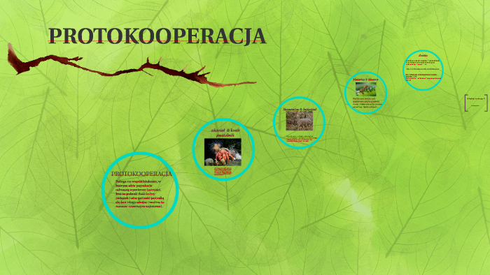 PROTOKOOPERACJA by Karolina Sobanska on Prezi