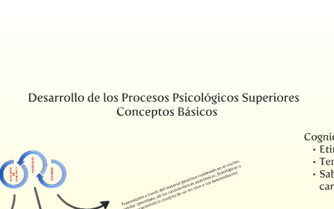 Desarrollo De Los Procesos Psicológicos Superiores. Conceptos Básicos ...