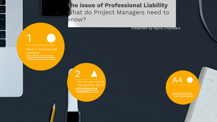 the-issue-of-professional-liability-what-do-project-managers-need-to