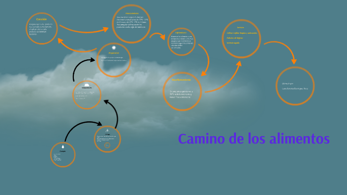 Camino De Los Alimentos By Ruben Cano 5132