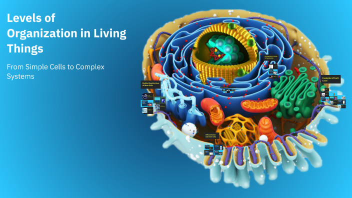 Levels of Organization in Living Things by Detrix Villareal [STUDENT ...